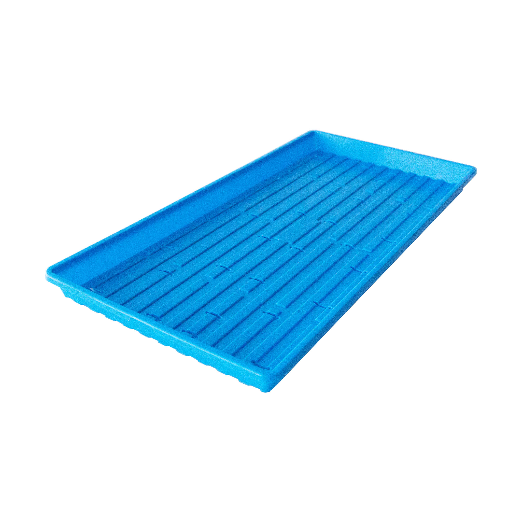 Blue 1020 Tray