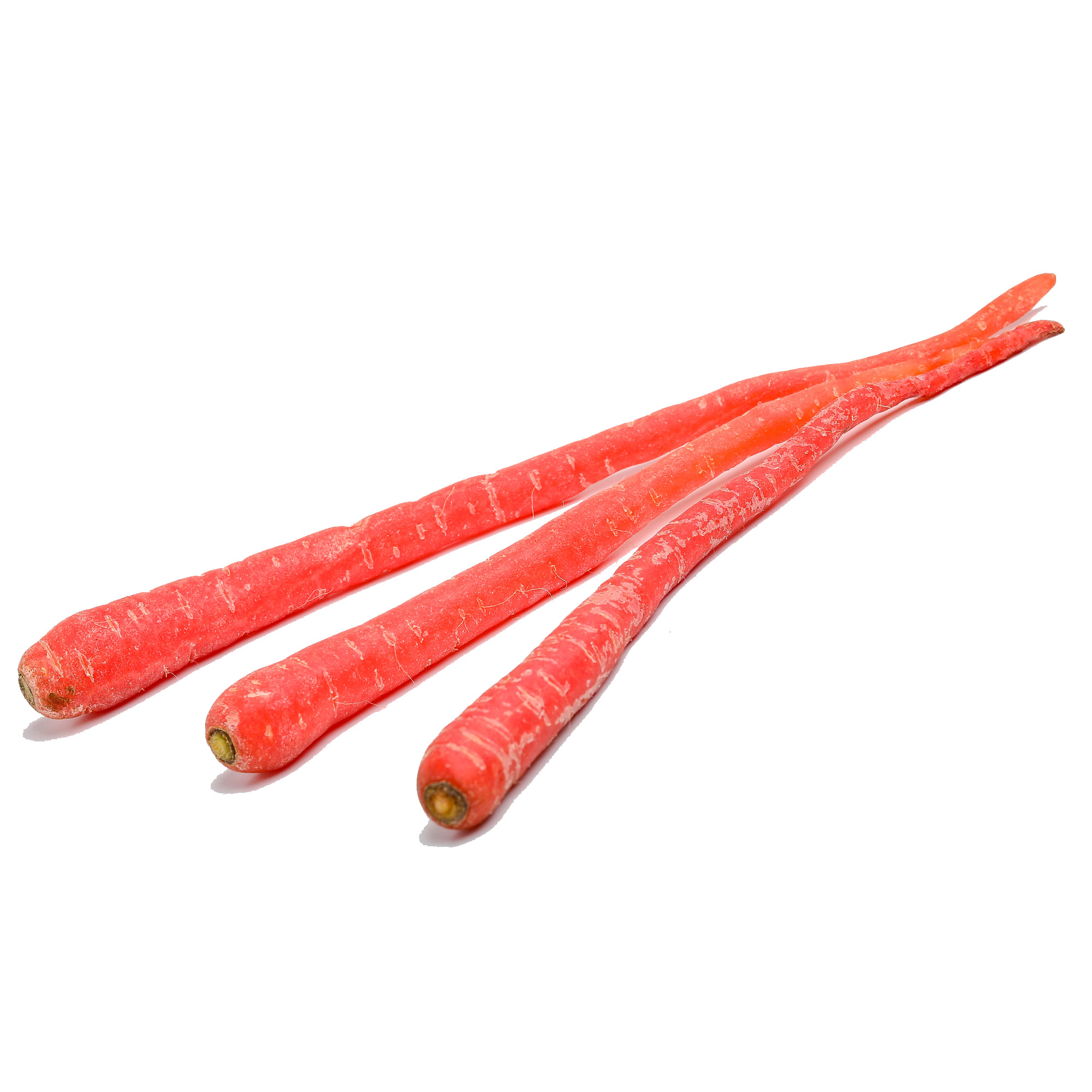 Soybean Kouri 1 Lb 2800 Seeds NonGmo, Heirloom Asian Garden Vegetable Kitazawa Seed