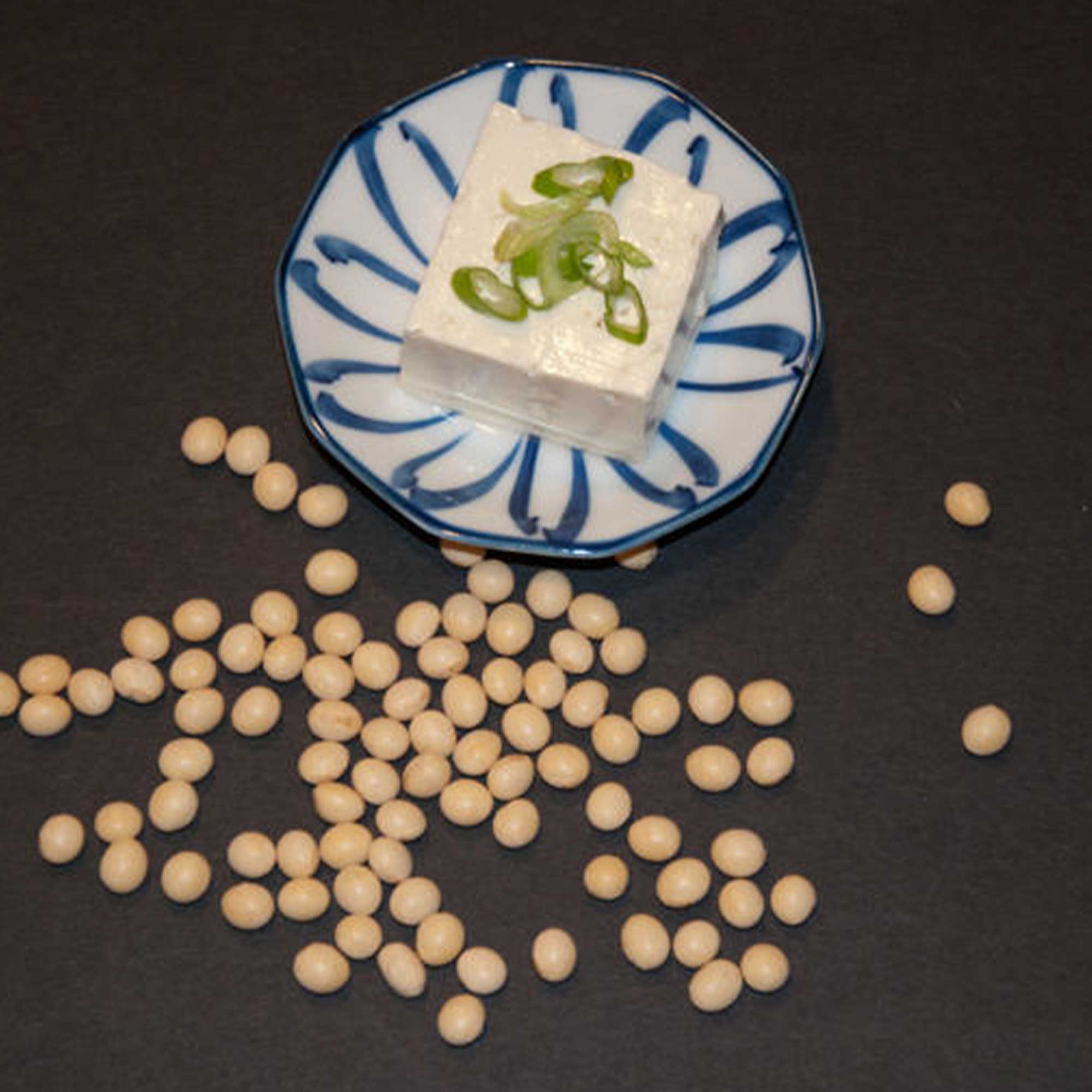 Soybean Kouri 1 Lb 2800 Seeds NonGmo, Heirloom Asian Garden Vegetable Kitazawa Seed